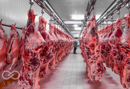 افزایش قیمت گوشت به دلیل کاهش جمعیت دامی
