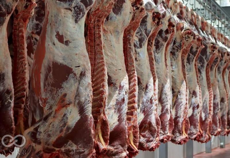 عرضه گوشت گاو و گوساله در کشتارگاه‌های کشور به 21 هزار تن رسید
