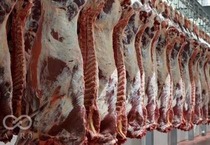 عرضه گوشت گاو و گوساله در کشتارگاه‌های کشور به 21 هزار تن رسید