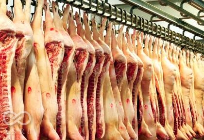 قیمت دام تاثیری در بازار گوشت نداشته است