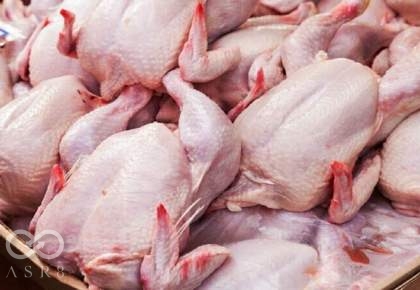 تولید ۲۲۰ هزار تن گوشت مرغ